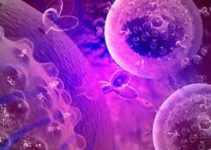 Інфектологія