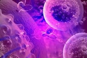 Інфектологія