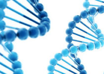 Генетика Генетика