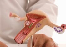 Гінекологія