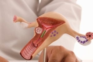 Гінекологія