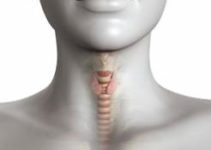 Ендокринологія