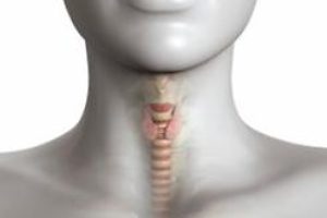 Ендокринологія