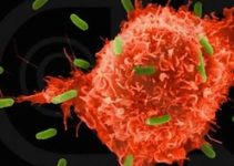 Генна діагностика спадкової схильності раку