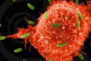 Генна діагностика спадкової схильності раку