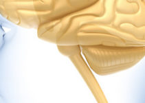 Неврологія Неврологія