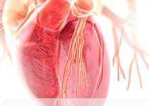 Кардіологія і кардіохірургія Кардіологія і кардіохірургія