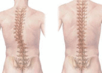 Ортопедія Ортопедія