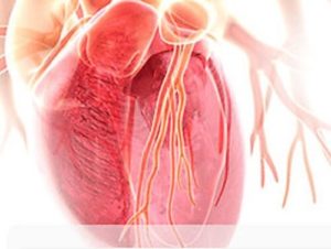 Кардіологія і кардіохірургія