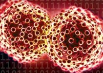 Ефективна і безпечна біотерапія при лікуванні раку в Ізраїлі Ефективна і безпечна біотерапія при лікуванні раку в Ізраїлі