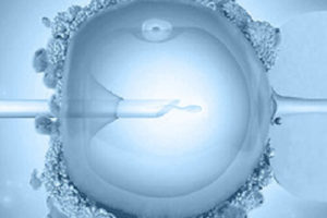 Ефективність ЕКЗ зростає з кожним днем