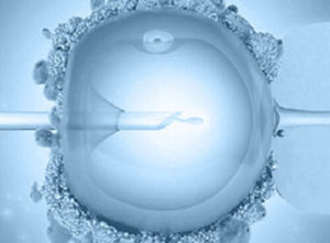 Ефективність ЕКЗ зростає з кожним днем