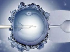 Курс ЕКЗ в Ізраїлі: останні новини про процедуру