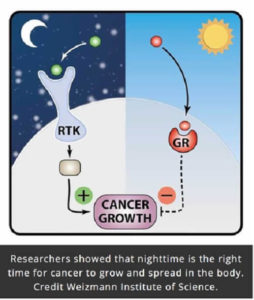 Лікувати рак потрібно під час сну