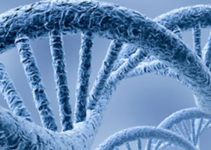 Метод CEL-Seq допоможе в лікуванні онкохворих Метод CEL-Seq допоможе в лікуванні онкохворих