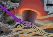 Наноплівка може замінити пошкоджену сітківку ока Наноплівка може замінити пошкоджену сітківку ока