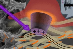 Наноплівка може замінити пошкоджену сітківку ока