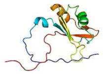 Небезпечний білок hnRNP A2/B1