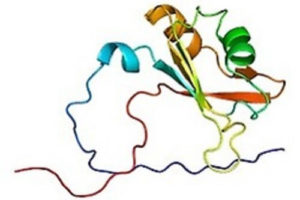 Небезпечний білок hnRNP A2/B1