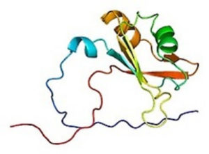 Небезпечний білок hnRNP A2/B1