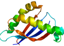 В Ізраїлі використовують нові ліки від раку В Ізраїлі використовують нові ліки від раку
