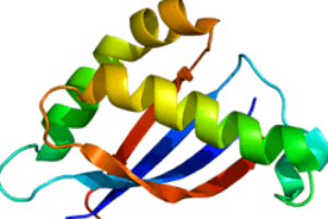 В Ізраїлі використовують нові ліки від раку