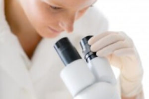 Вчені дізналися, як нейтралізувати білок, розвиваючий пухлини