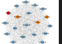 Вчені розкрили загадку, чому в нервів бувають дегенеративні патології Вчені розкрили загадку, чому в нервів бувають дегенеративні патології