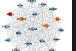Вчені розкрили загадку, чому в нервів бувають дегенеративні патології