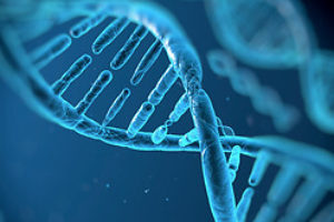 Взаємозв’язок генетики та онкології